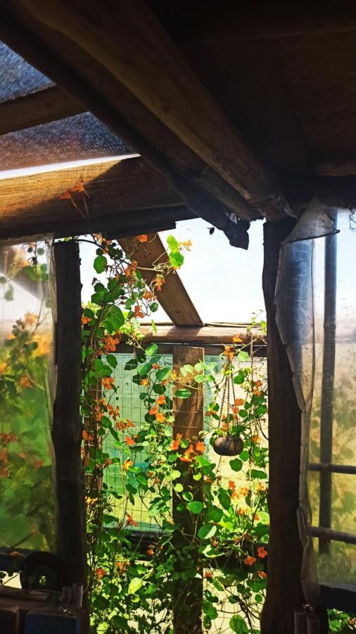 Bunker Hostel Cabo Polonio Zewnętrze zdjęcie