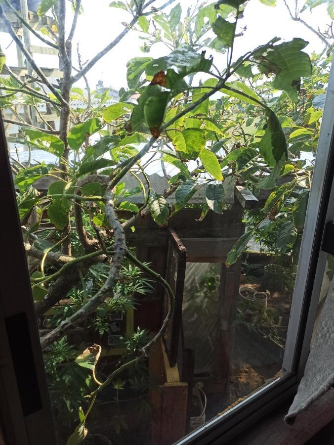 Bunker Hostel Cabo Polonio Zewnętrze zdjęcie